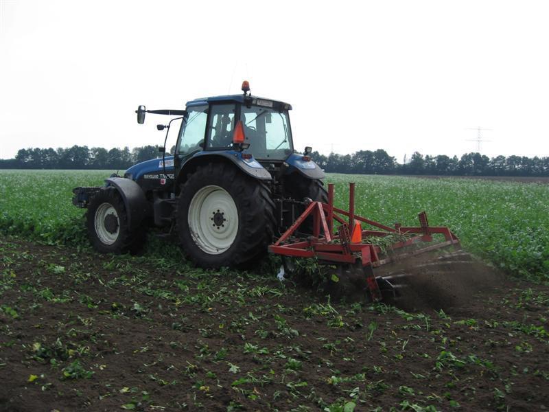 Leon Vissers Vissers aardbeiplanten BV America (4).JPG
